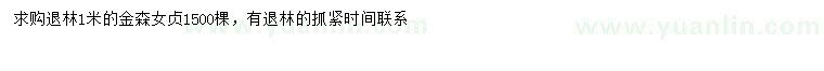 求購1米金森女貞