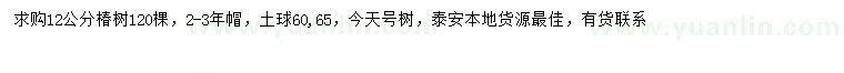 求購12公分椿樹