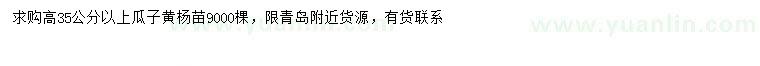 求購高35公分以上瓜子黃楊