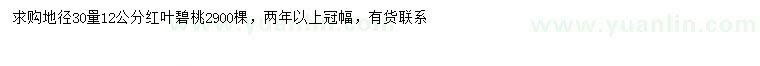 求購地徑30量12公分紅葉碧桃
