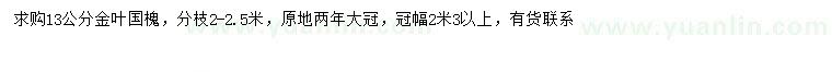求購(gòu)13公分金葉國(guó)槐