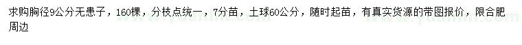 求購(gòu)胸徑9公分無患子