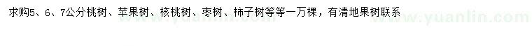 求購桃樹、蘋果樹、核桃樹等