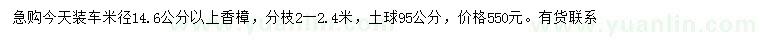 求購米徑14.6公分以上香樟