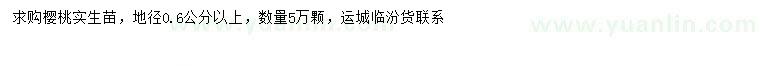 求購地徑0.6公分以上櫻桃