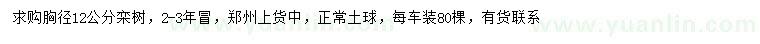 求購胸徑12公分欒樹