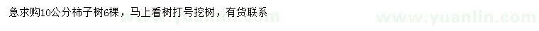 求購(gòu)10公分柿子樹(shù)
