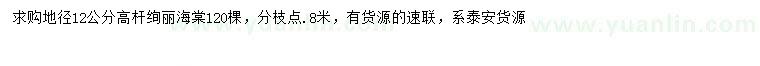 求購地徑12公分高桿絢麗海棠