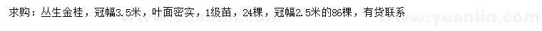 求購(gòu)冠幅2.5、3.5米叢生金桂