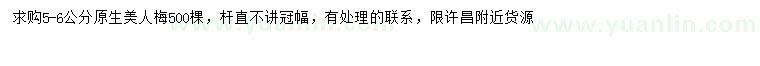 求購5-6公分原生美人梅