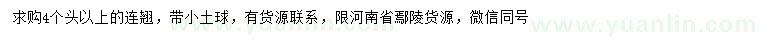 求購4桿以上連翹