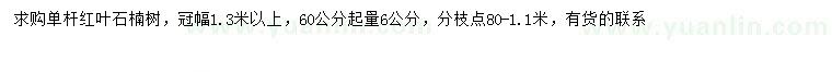 求購60量6公分紅葉石楠