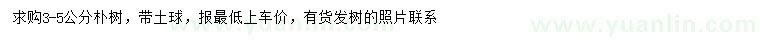 求購3-5公分樸樹