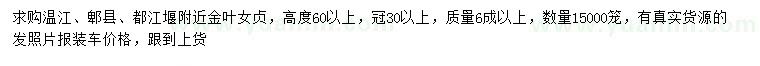 求購(gòu)高60公分以上金葉女貞