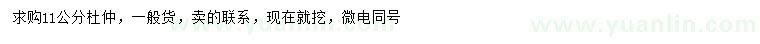 求購11公分杜仲
