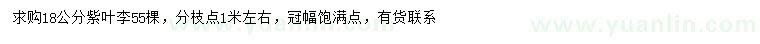 求購18公分紫葉李