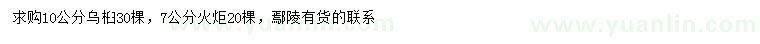 求購10公分烏桕、7公分火炬