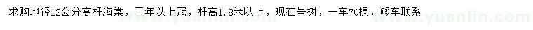 求購地徑12公分高桿海棠