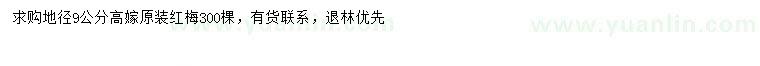 求購地徑9公分紅梅