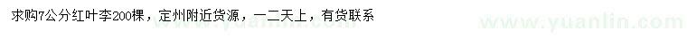 求購7公分紅葉李