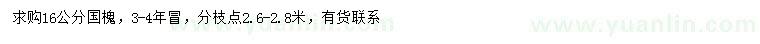 求購16公分國槐