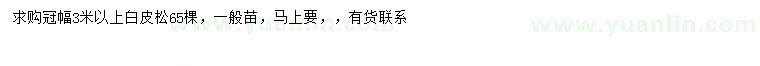 求購冠幅3米以上白皮松