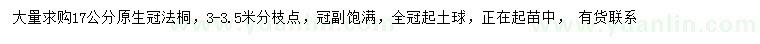 求購(gòu)17公分法桐