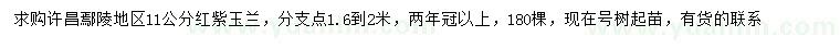 求購11公分紅玉蘭、紫玉蘭