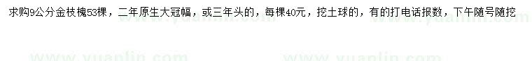求購9公分金枝槐