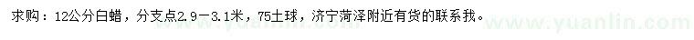 求購12公分白蠟