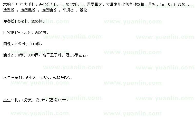 求購求購6-10公分小葉女貞毛坯