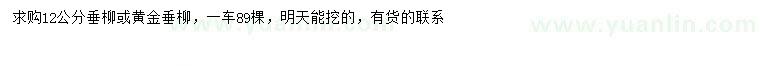 求購(gòu)12公分垂柳、黃金垂柳