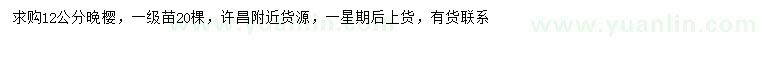 求購12公分晚櫻