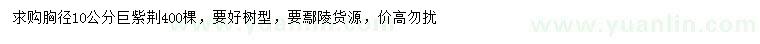 求購胸徑10公分巨紫荊