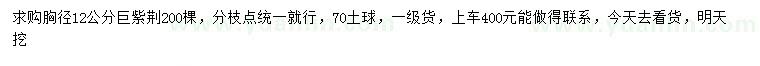 求購(gòu)胸徑12分巨紫荊
