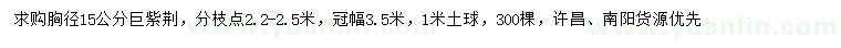 求購胸徑15公分巨紫荊