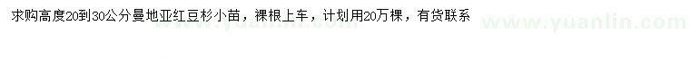 求購高20-30公分曼地亞紅豆杉