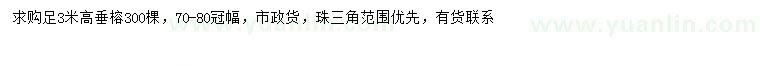 求購高3米垂榕