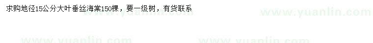 求購(gòu)地徑15公分大葉垂絲海棠