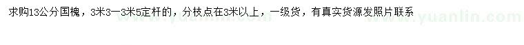 求購13公分國槐