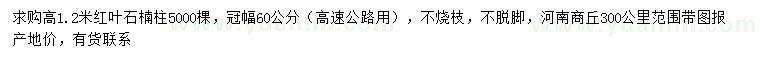 求購高1.2米紅葉石楠
