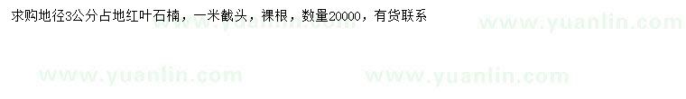 求購地徑3公分紅葉石楠