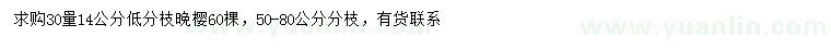 求購(gòu)30量14公分晚櫻