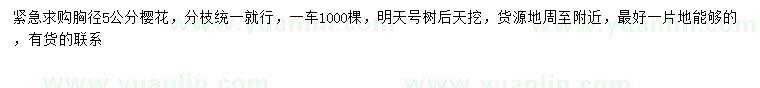 求購胸徑5公分櫻花