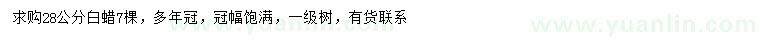 求購28公分白蠟