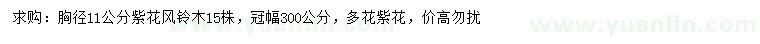 求購胸徑11公分紫花風(fēng)鈴木