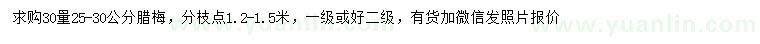 求購30量25-30公分臘梅