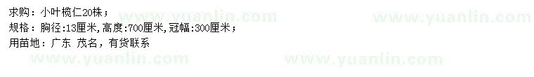 求購胸徑13公分小葉欖仁