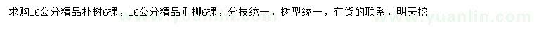 求購16公分樸樹、垂柳