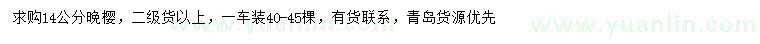求購14公分晚櫻